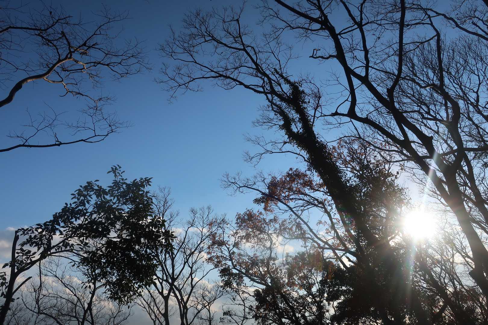 まもなく終わる2021年。来年も山歩きを楽しめる１年になるといいな～と山頂でしみじみ。下山します。