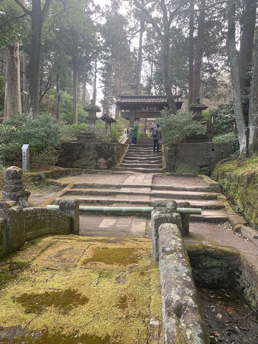 橋の苔が素敵