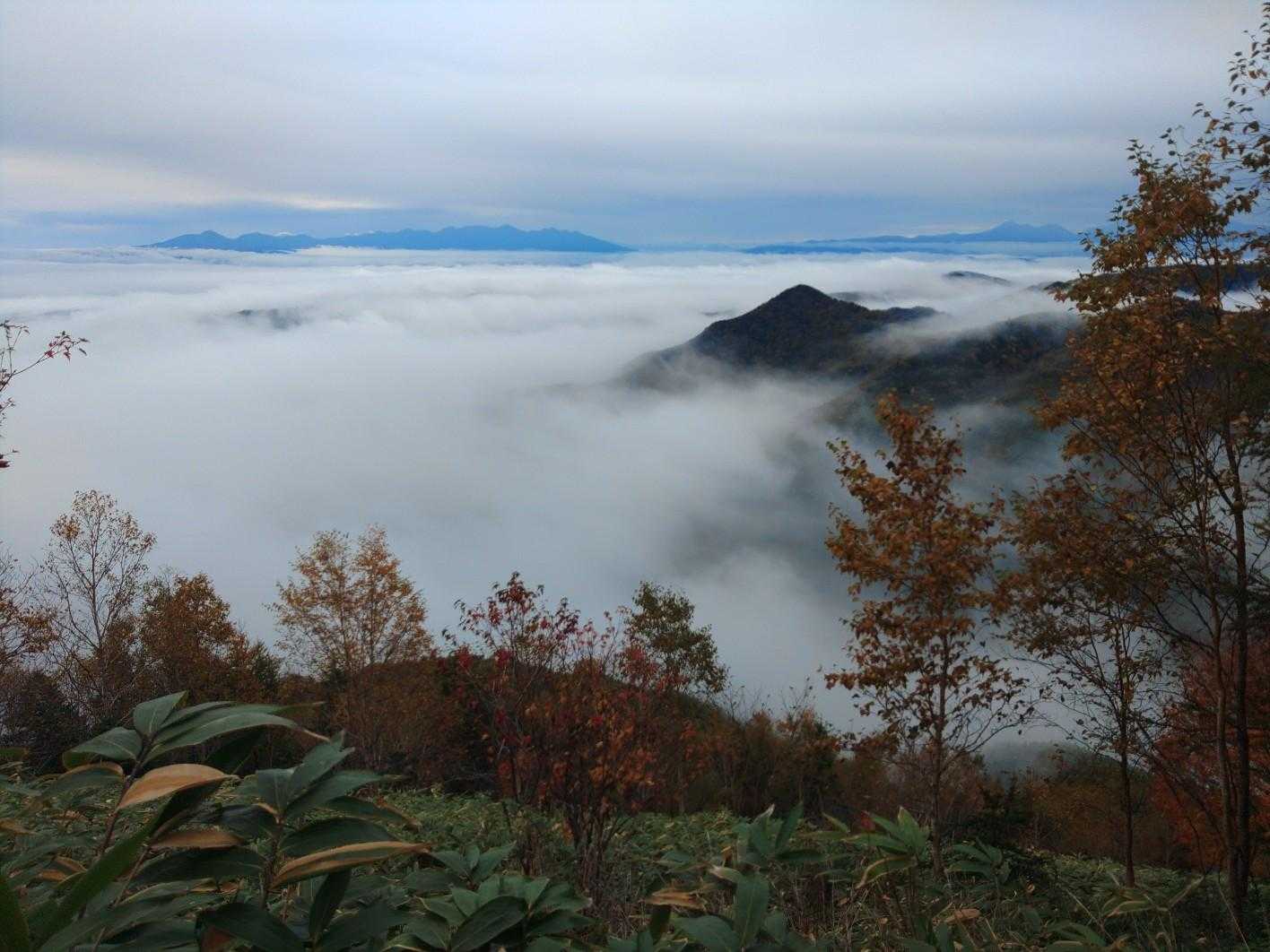 鉢盛山 往復コースの写真