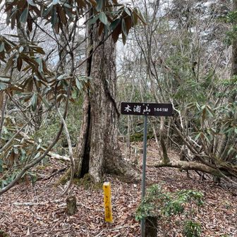 木浦山。ここにくる途中でコースアウトした事に気付かず、めちゃくちゃ体力消耗した。