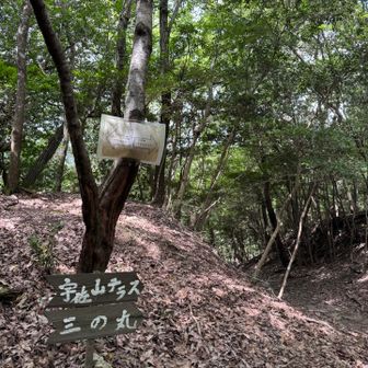 山頂手前。

だいぶ痩せてきたッ👭💦💦
