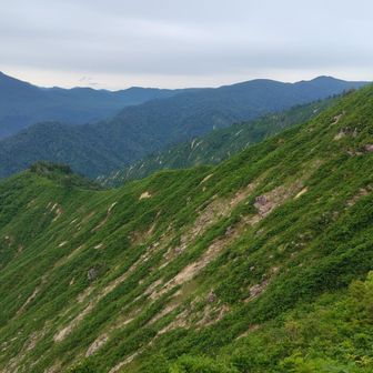 心の支えだったのは、尾根沿いを歩く間ずっと燧ヶ岳が一緒にいてくれたこと。
美しい裾野にトレードマークの双耳峰。