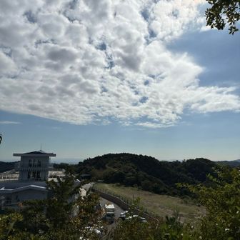 岩の上ならギリ東京湾見える