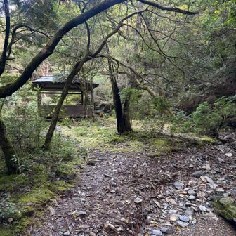 キャンプに最適なのでは‥