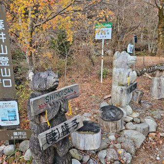 遭難、怪我なく
無事に周回出来た事に感謝🙏

今回のルートは自己満の
参考にならないコースです😅

篠子、熊五郎ありがとう❗

山梨百名山このエリアも
残すのは三石山と思親山のみに
なりました😊
