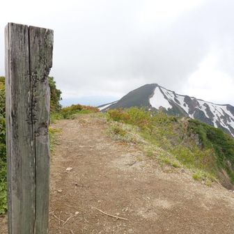 梅花皮岳から北股岳