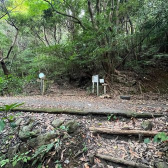 一の出合越えて二の出合通過🥾