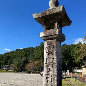 見つけられなかった花は、再度リベンジだな🤨