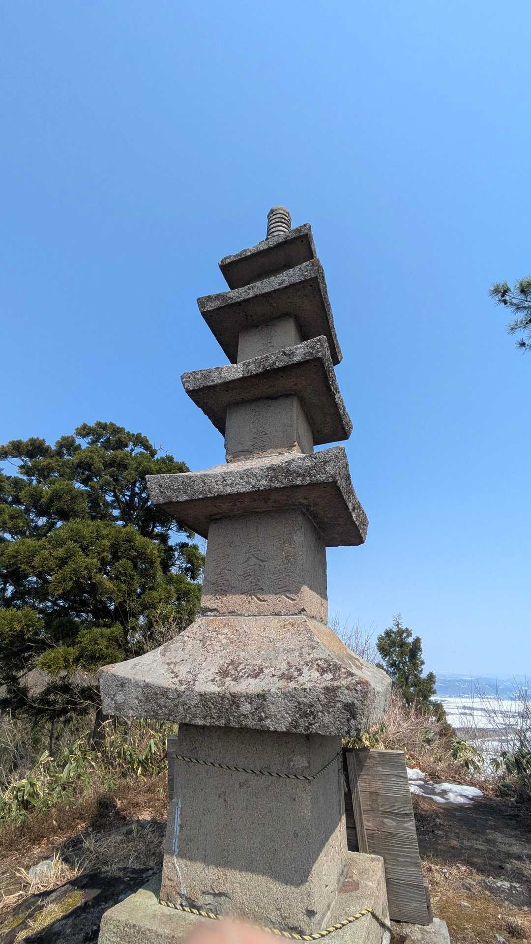 コレ気になる🤣