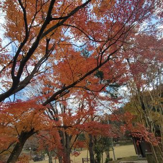 朝より色がキレイ　
次の山に向います。