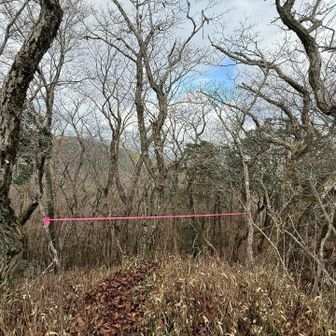 ピンテで通行しないように目印だったのに💦間違えます😅