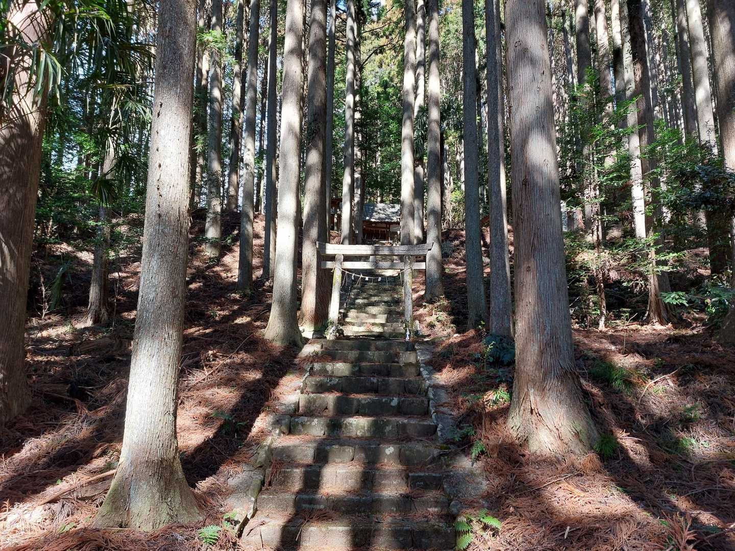 荘厳な川辺神社⛩️