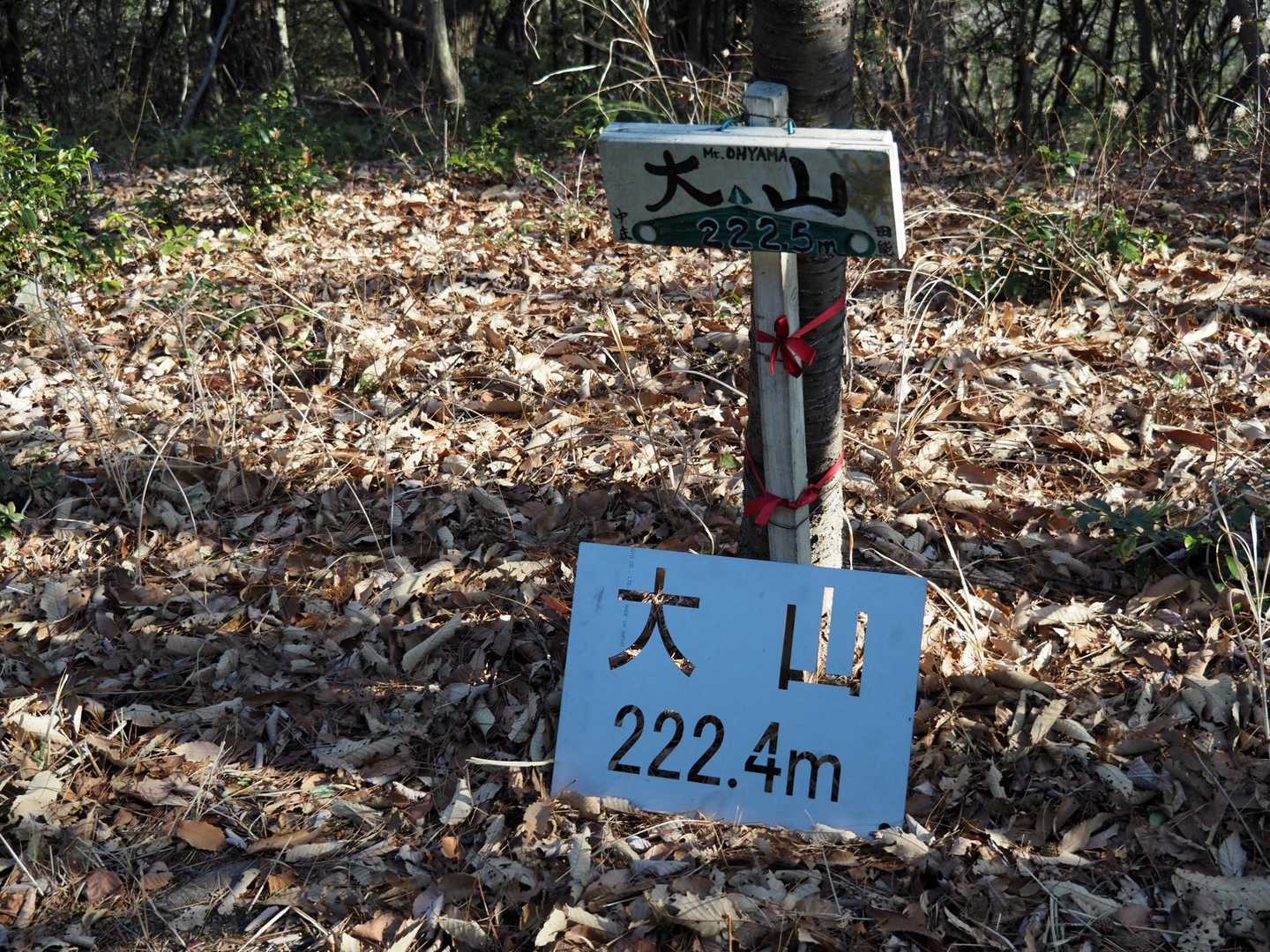 大山到着
確か展望無し。