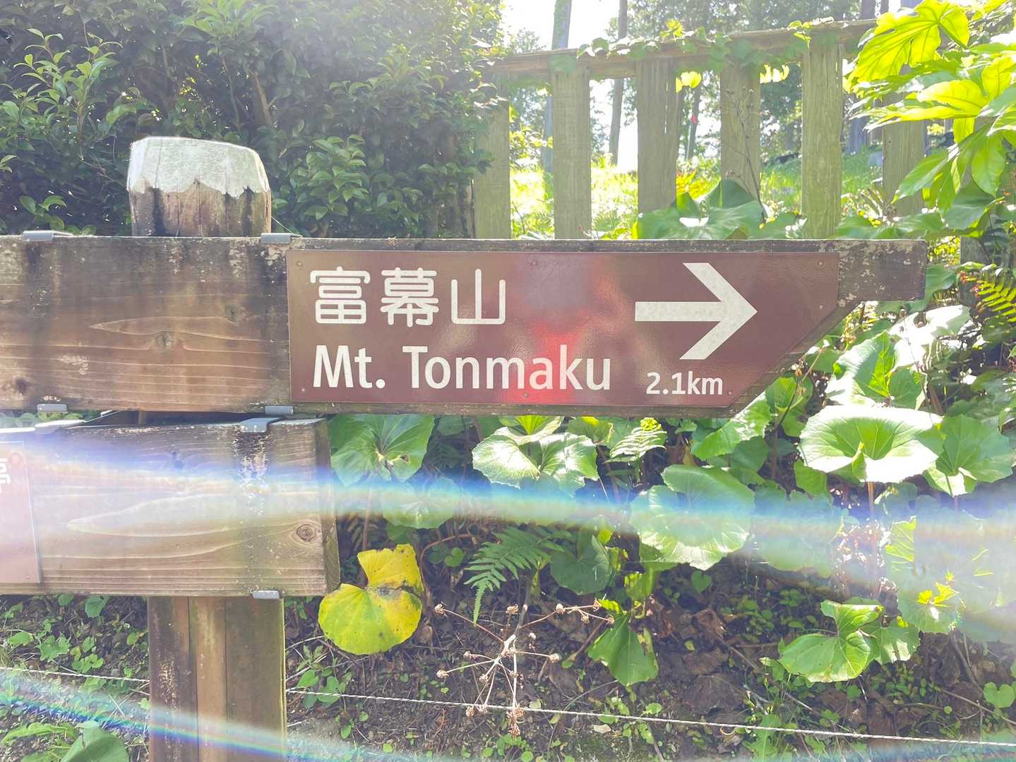 やっぱり…とんまくやま…だよね。
今日は花探しがメインだったから歩くペースはのんびり🦥*̣̩⋆だったけど、宝探しみたいで楽しかった🤭