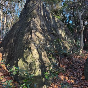この角度📐で烏帽子岩に見えますね📷

ゆっくりしてたら夕方の4時を過ぎていました〜
急いで戻りましょう🚶