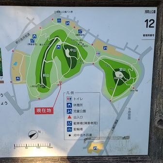 👈前山と、中山の間の
四阿に向かってのびてる
沢状のところに先ほどの
窪地があります
7つくらいあったかな💦
意外と危険。
知らないで近寄りそう。