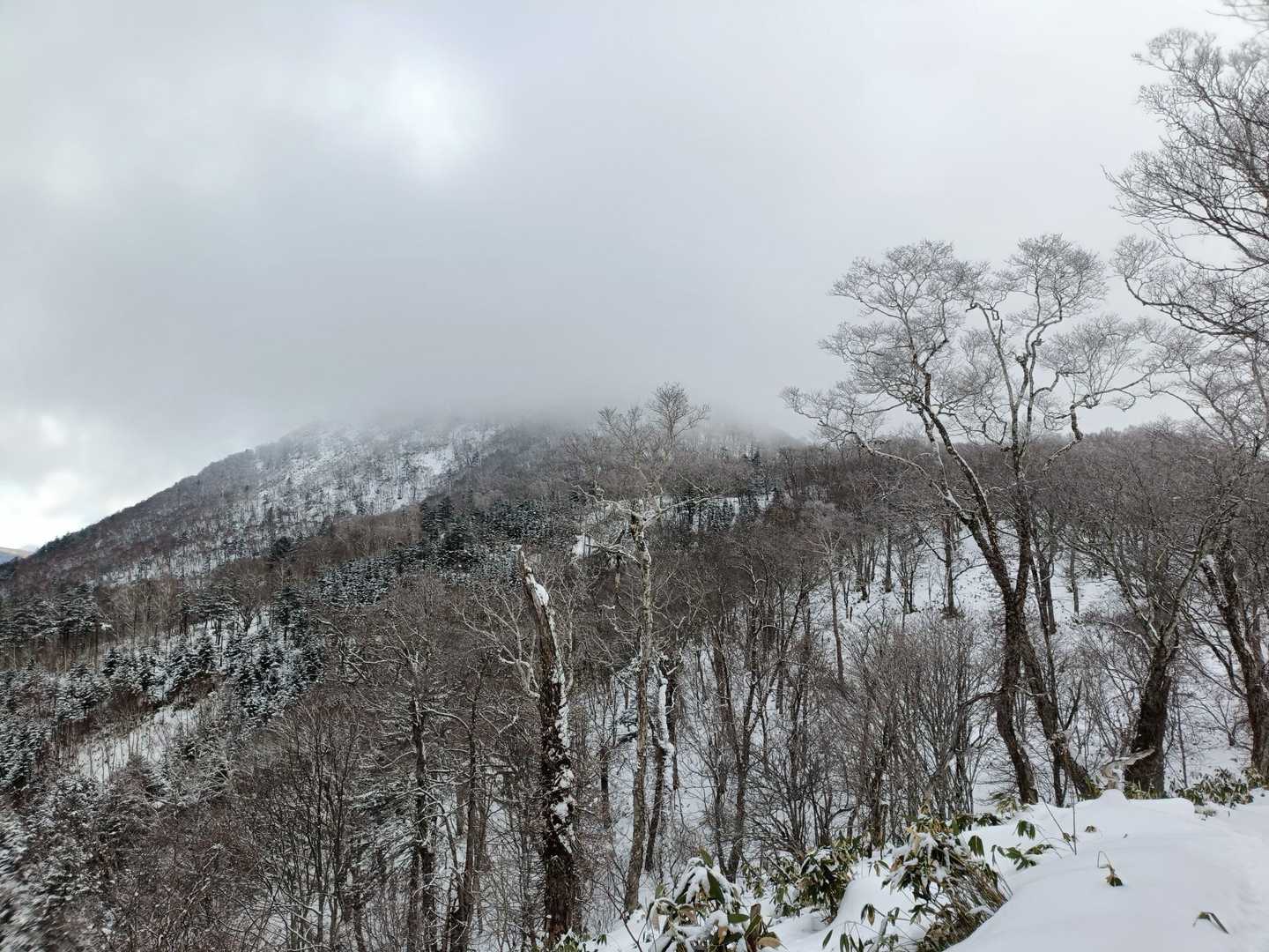 山頂なんかガスってる