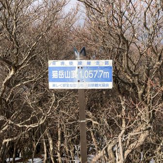 こっちも耳つき