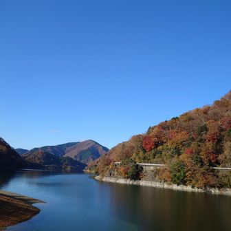 も〜これだけで気分が↑