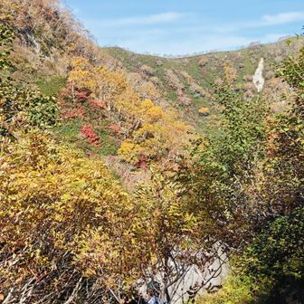 外輪と本峰の間に下っています