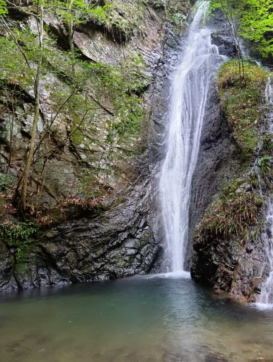 遠見山登山口-遠見山 往復コースの写真