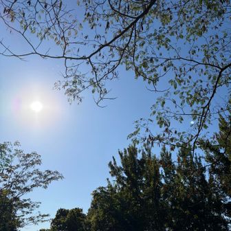 良い空―