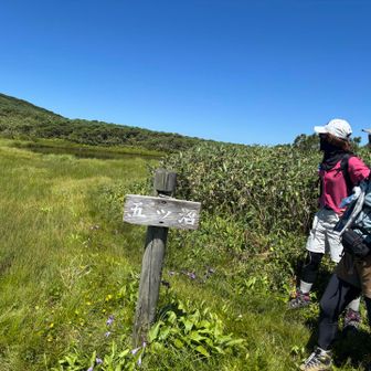  2つしか見えないけど五つ沼