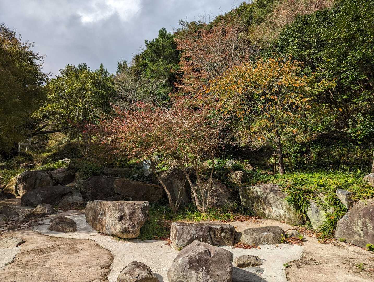 山頂はえらい騒ぎだったので😅本日もこちらで休憩
河内登山口から登る人は少ないので、今日もまったく人が通らず、貸し切り状態😝
山頂の喧騒が嘘のよう😁
