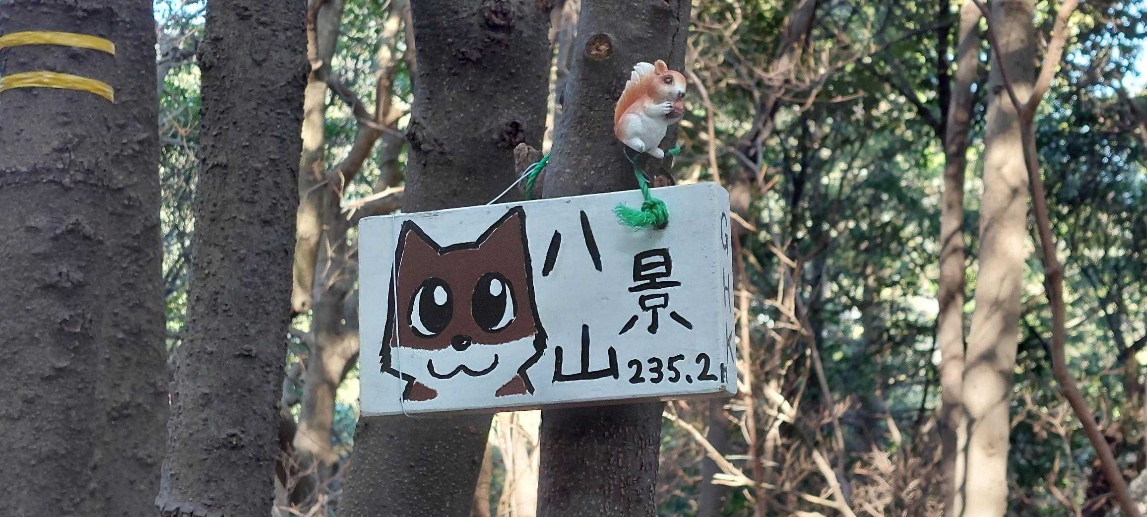 愛宕山-象頭山-大麻山-大麻山登山口-奥社-白峰神社-金刀 周回コースの写真