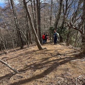 ここから激下りが始まります💦
そして毎回は掲載はしませんが、下った後には次のピークに向けて漏れなく急な登りが待っています😅