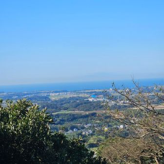 相模湾側の眺め