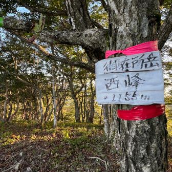 西峰到着🚶