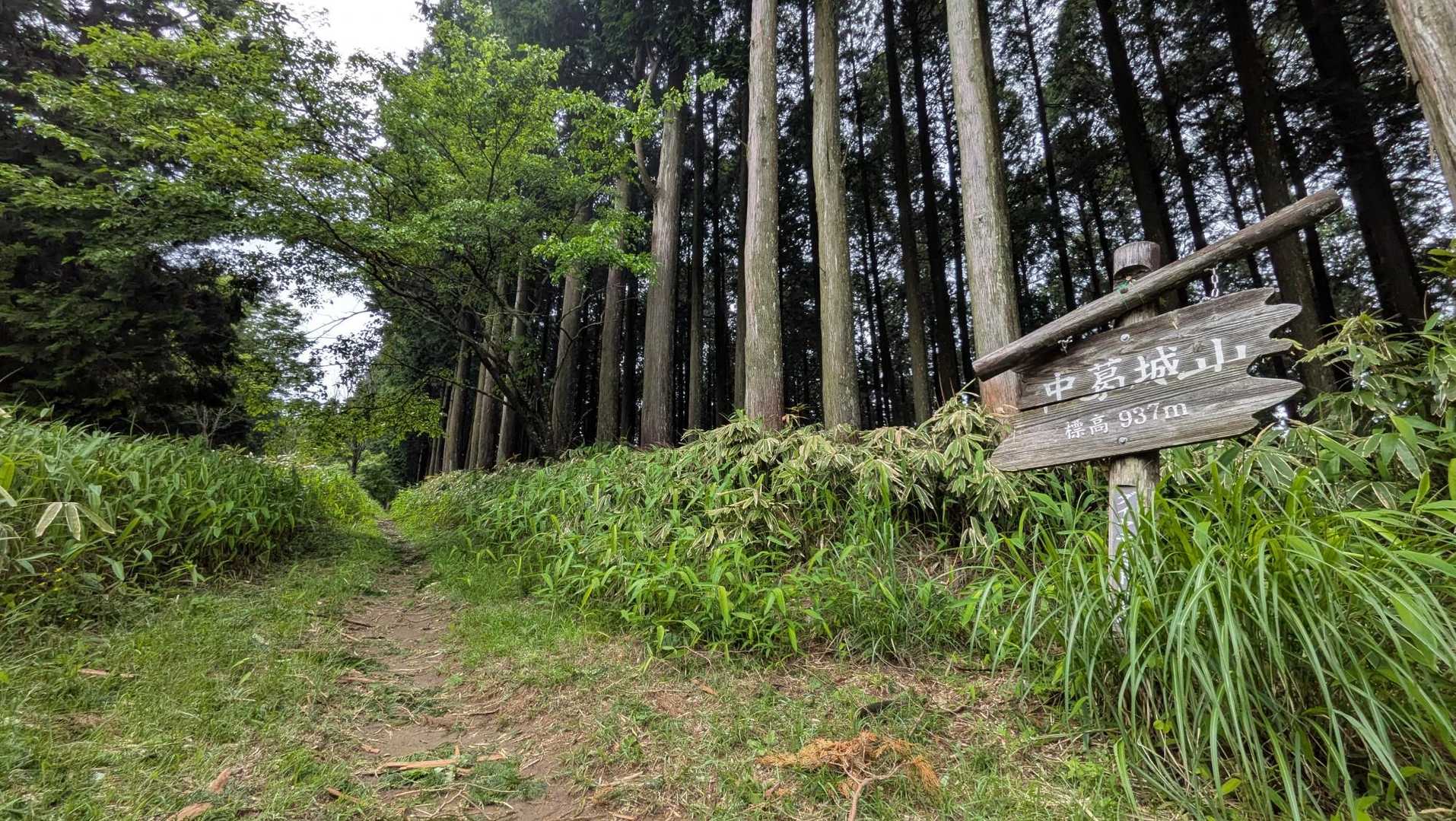 ダイヤモンドトレイル（金剛山-金伏見峠-久留野峠-紀見峠）縦走コースの写真