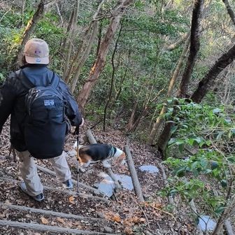 平坦な道と思ったら急激な下りに、ということはすなわち帰りは急登に😢