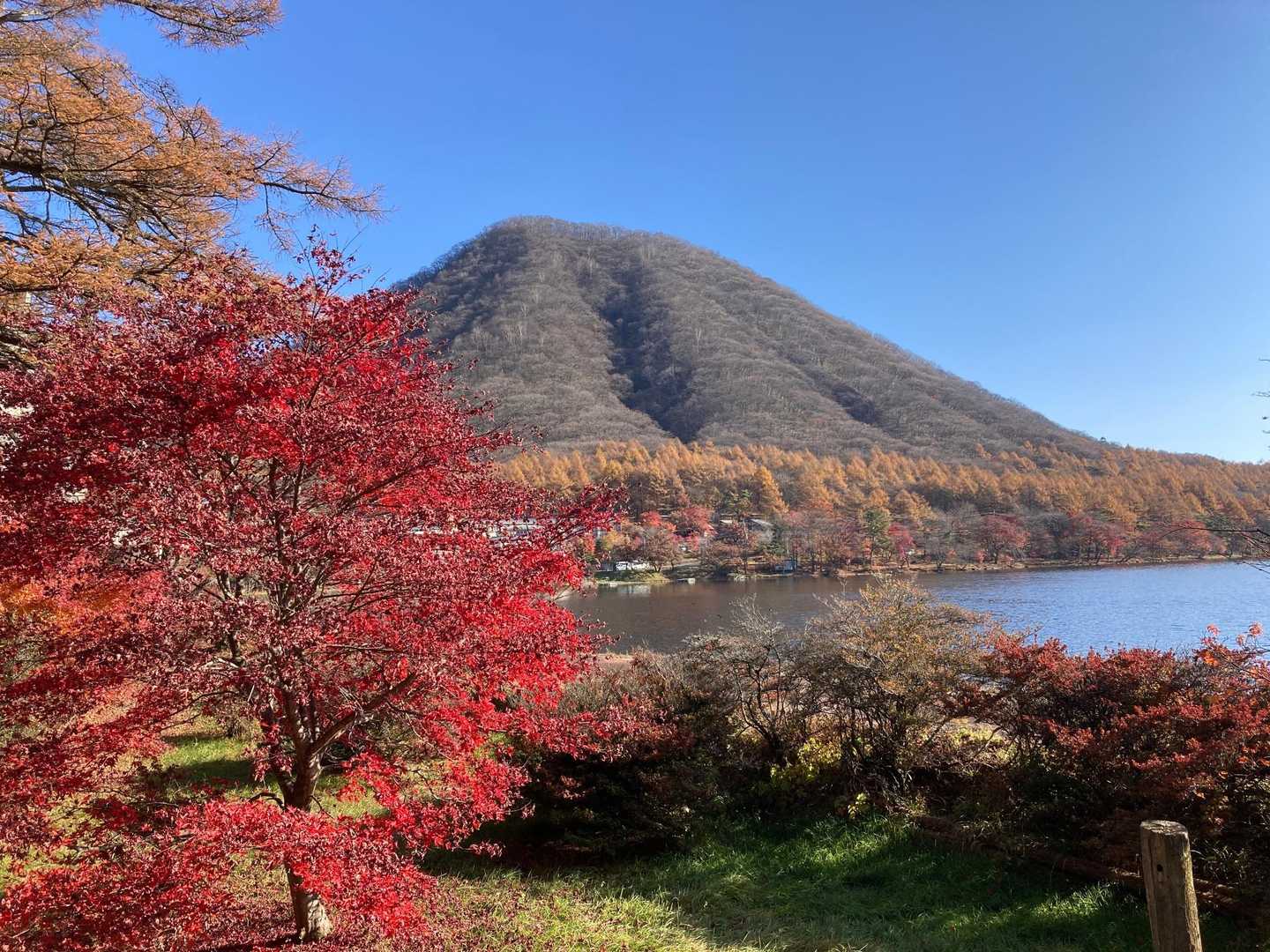 烏帽子岳登山口-烏帽子岳登山口バス停-榛名高原学校入口バス 周回コースの写真