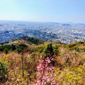 平日なのに結構来てる🙁