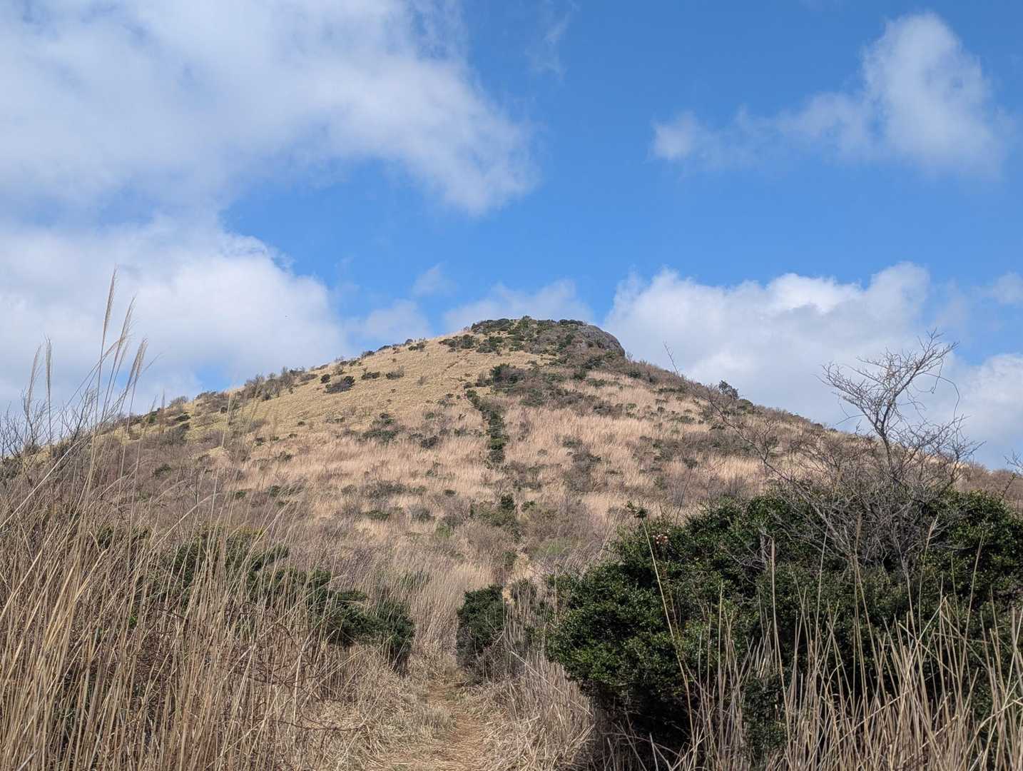 縦走路はスミレと、わらびロード😍
山菜採りをグッと我慢して福智山へ～🤩
