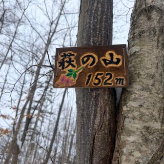 萩の山の山頂に到着🙌🏻