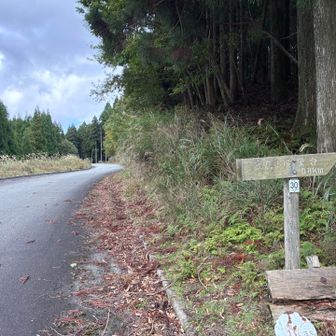 ロードからの一時解放！夜鷹山へ