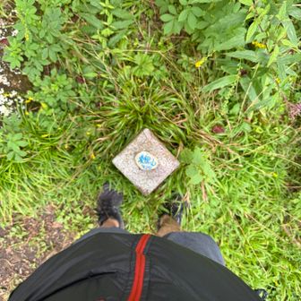 山頂です