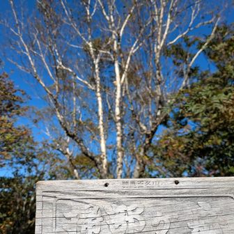 登頂！移動できる頂上標識を手に持って…🪧1449㍍