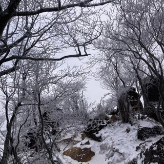 厳しさに逆らわない
ありのままがやりたいのだから