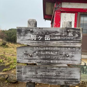 箱根駒ヶ岳登頂‼️
実はここに来るのは2回目で、
前回は娘が1才の時に積雪の中来ました☝️
当時はここが箱根駒ヶ岳だという事は、全く知らずに笑