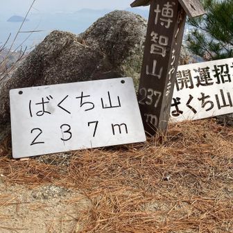 ばくち山237m登頂