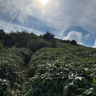 堂ヶ森までもけっこう登ります。