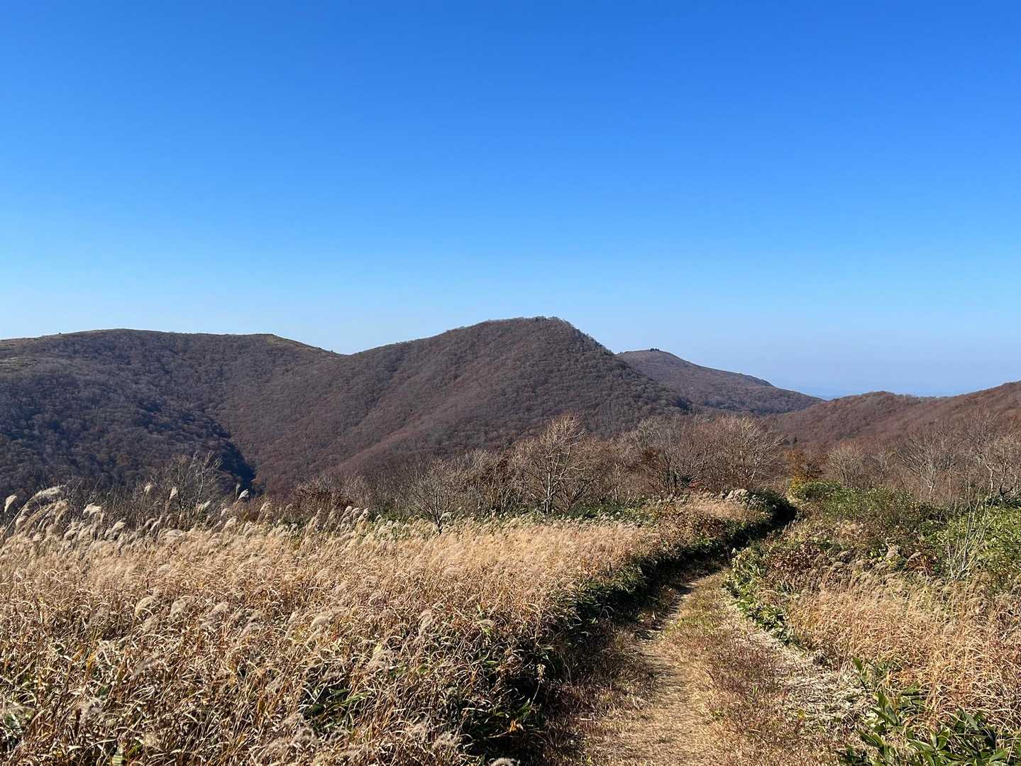 立烏帽子山駐車場発着｜池ノ段-竜王山 周回コースの写真