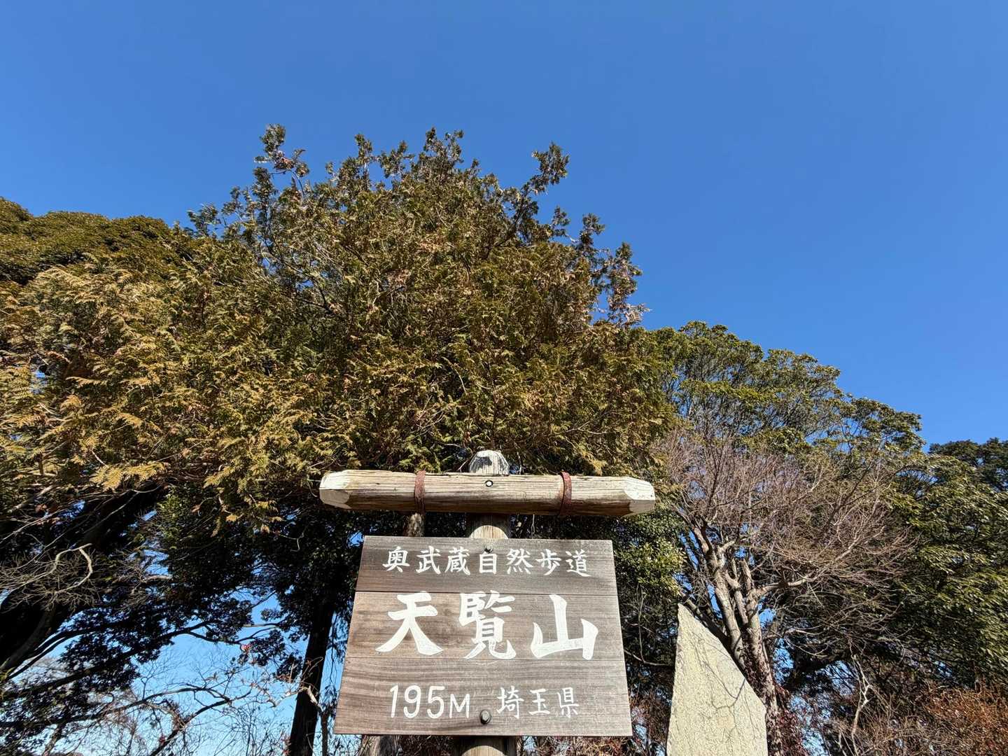 天覧山ブルー🩵