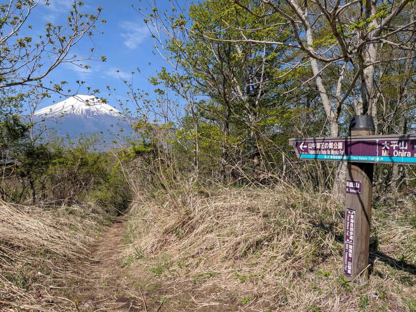 でも、登り切った山頂では、絶景が待っていてくれました😊