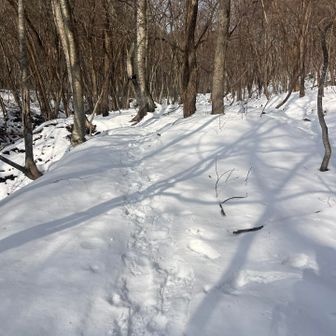 雪は多くないが地面は見えない