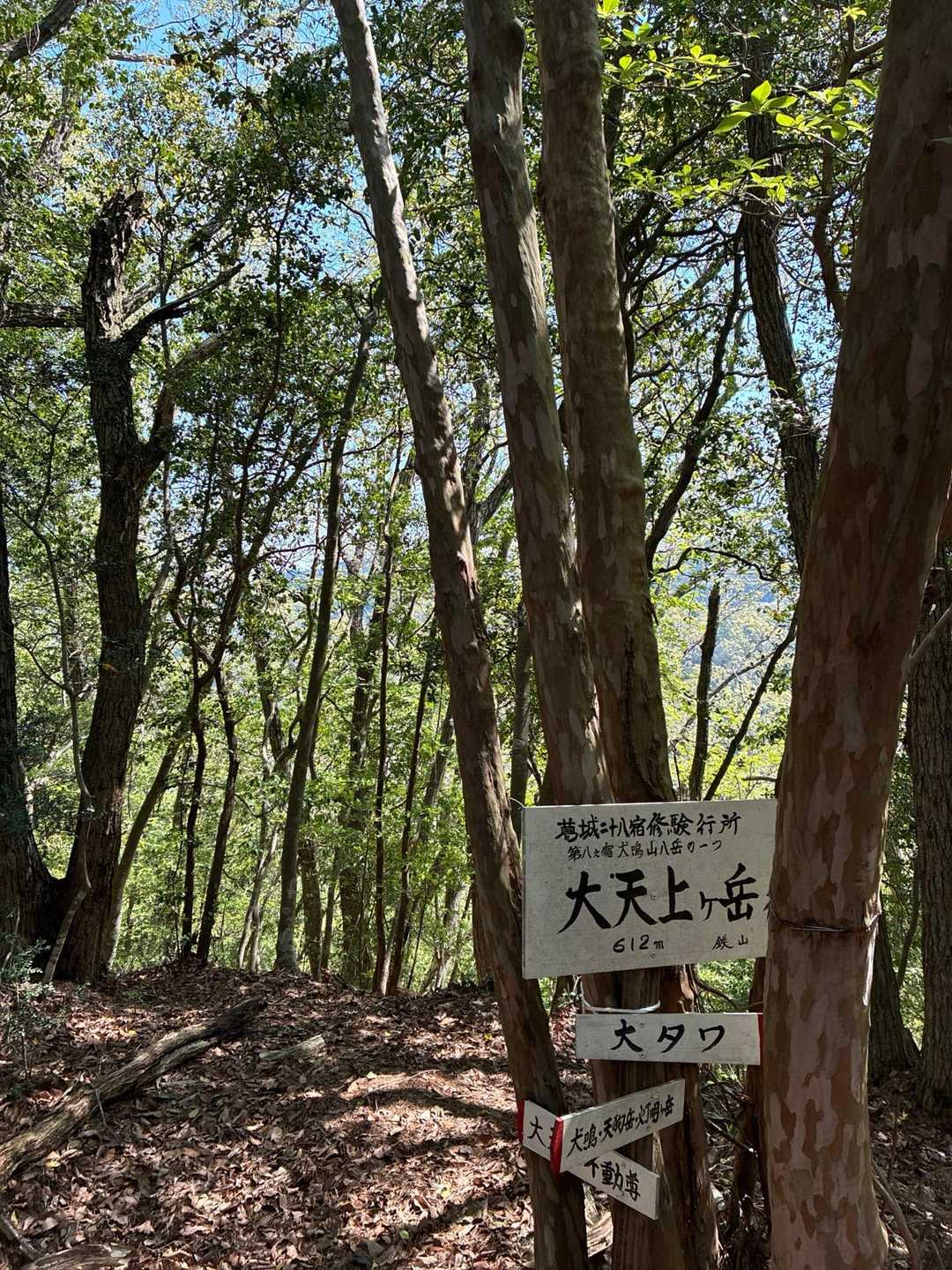 大天上ヶ岳到着👍
景色はございません
